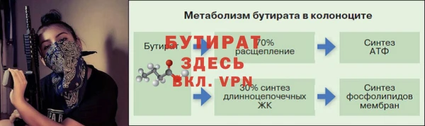 прущие грибы Бородино