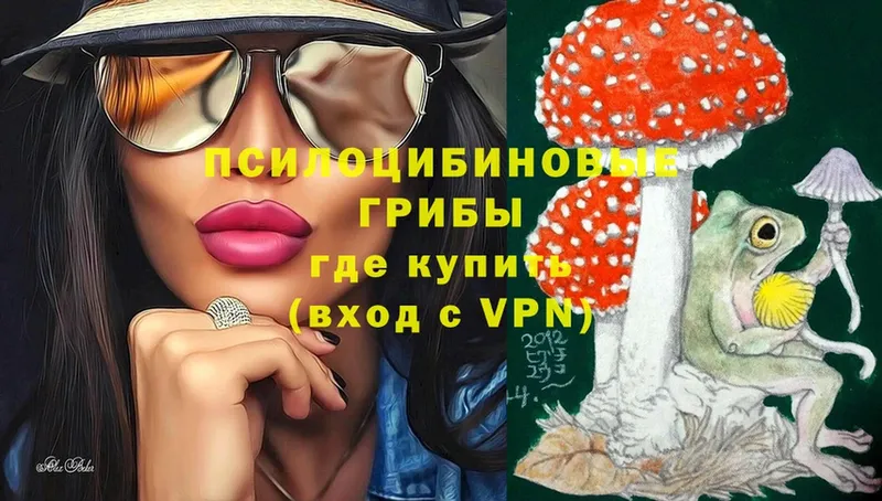 Галлюциногенные грибы Cubensis  Тольятти 